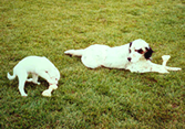 Jake and Sophie in 2002